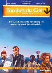 dvd tombés du ciel