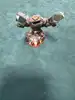 figurine jouet skylanders - prism break  - giants