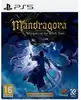 jeu ps5 mandragora whispers of the witch tree collector's edition