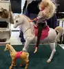 jouet barbie cheval avec princesse