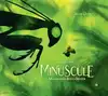 livre les coulisses de minuscule - les mandibules du bout du monde