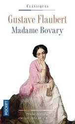 livre madame bovary