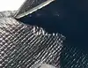 portefeuille louis vuitton brazza en toile damier graphite christhopher nehmet
