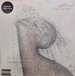 vinyle alt - j - the dream (2022)