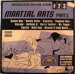 vinyle martial arts part 2 (2002)