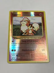carte pokémon caninos 17/108 reverse