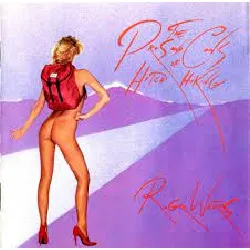 cd vinyle 33t roger waters the pros and cons of hitch hiking