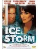 dvd ice storm