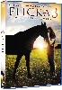 dvd movie flicka 3 meilleures amies (1 dvd)
