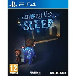 jeu ps4 among the sleep