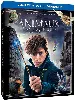 blu-ray les animaux fantastiques - combo blu - ray + dvd