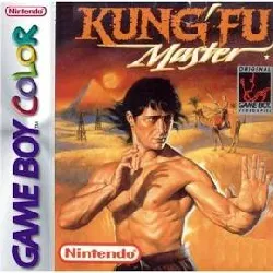jeu gameboy gb kung fu master